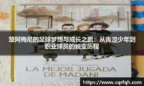芒果体育官方网站